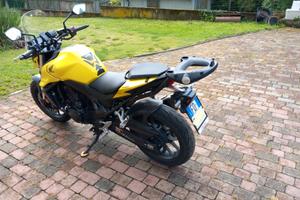 HONDA HORNET