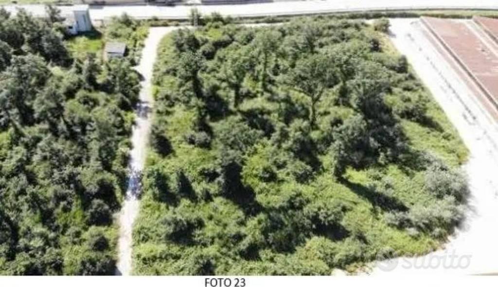 Immobile in asta di 12175 m² a Pozzilli - Vista 4