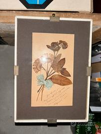 Bouquet di fiori e foglie essiccati datato 1900
