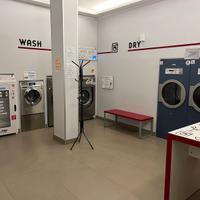 Lavatrici e essiccatoi industriali miele
