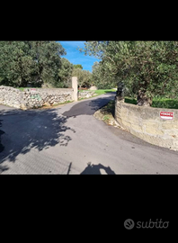 Ville Campagna, casa di campagna, villa, abitazion