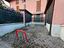 Immagine 7