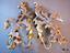 Immagine 6