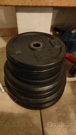 Dischi pesi per palestra