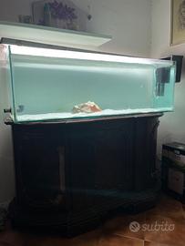 Acquario completo 300L