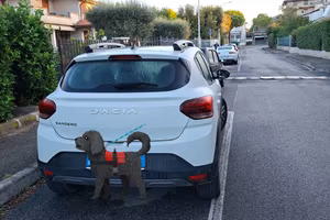 DACIA SANDERO STEPWAY EXPRESSION