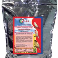 Unifeed canarini e cardellini