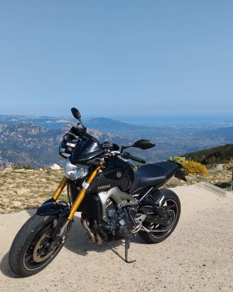 YAMAHA MT 09 2015 mod. Dep Armour