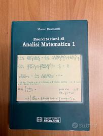 Esercitazioni di Analisi Matematica 1 Bramanti