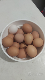 Da galline allevate all'aperto 0,50