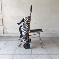Carrello spesa con seduta