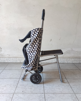 Carrello spesa con seduta