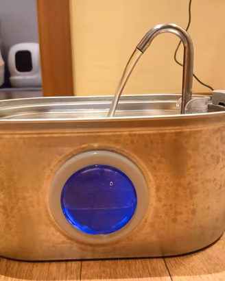 Fontanella per gatti