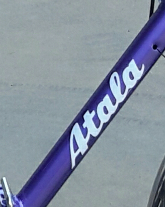 Adesivi atala