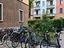 Immagine 20