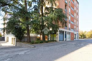 4 LOCALI A SAN PIETRO IN CASALE