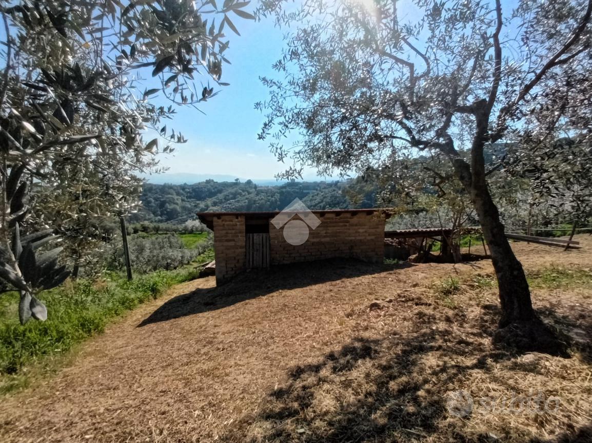 RUSTICO A OLEVANO ROMANO - Vista 4