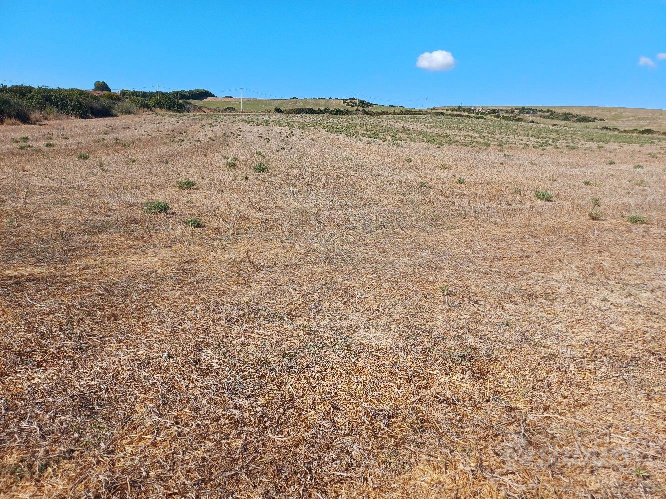 Terreno agricolo - Vista 3