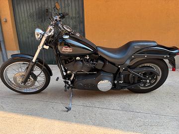 Harley davidson softail night train