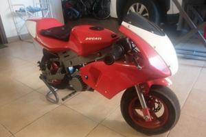 Minimoto Ducati 50cc