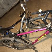 mountain bike ruote 26 