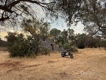 Trullo tipico pugliese con ulivi secolari