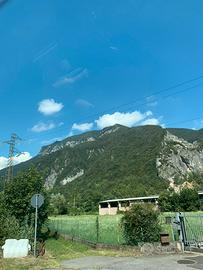 Coppia coniugi conviventi