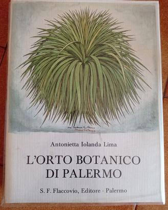 L' orto botanico di Palermo