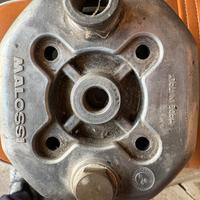 Malossi minarelli p6