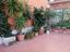 Immagine 19