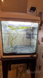 Acquario 30 litri