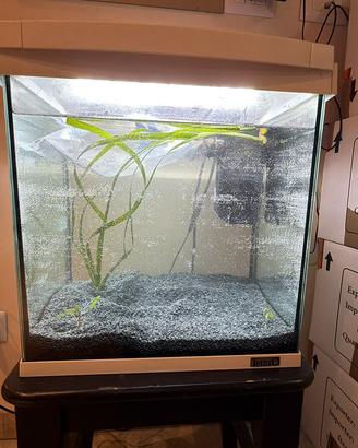 Acquario 30 litri