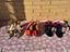 Immagine 1