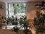 Immagine 9