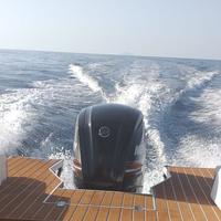 Mercury F115 - con c.a. 250 ore di moto