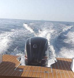 Mercury F115 - con c.a. 250 ore di moto