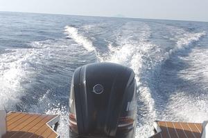 Mercury F115 - con c.a. 250 ore di moto