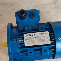 motore per termostufa,pelle nocciole sansa 