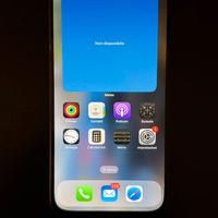 iPhone 16 Pro Max da 256GB