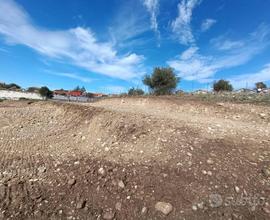 Terreno di 6.000 mq. Belpasso zona Valcorrente