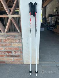 Bastoncini sci