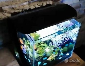 Acquario design Tetra tank