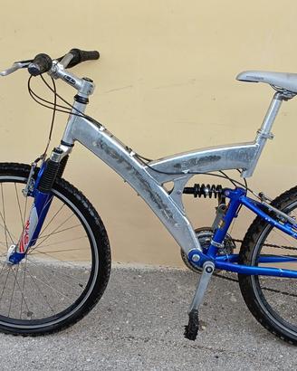 Bottecchia