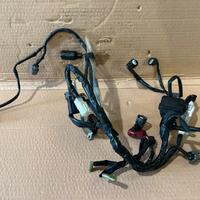 Impianto Elettrico Motore Honda Hornet 2011-2013