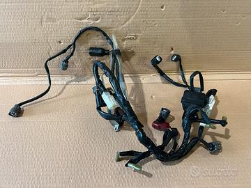 Impianto Elettrico Motore Honda Hornet 2011-2013