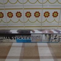 Wall stickers "The dog", adesivi tutti sigillati