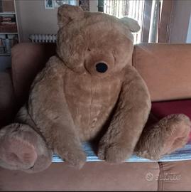 orso gigante
