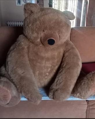 orso gigante