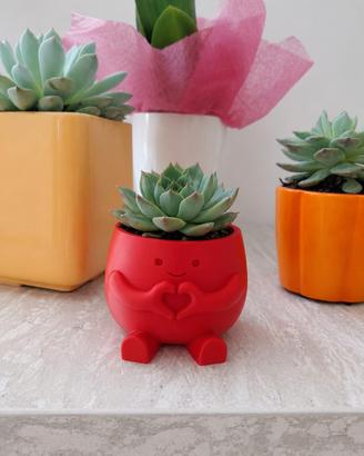 Vaso 3D