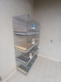 gabbie da 120 semi nuove per non utilizzo